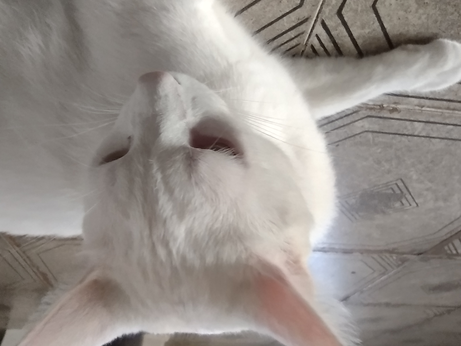 Scape em seu momento favorito